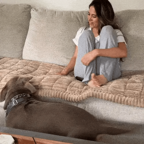 PawniMates Sofa protecting Cover