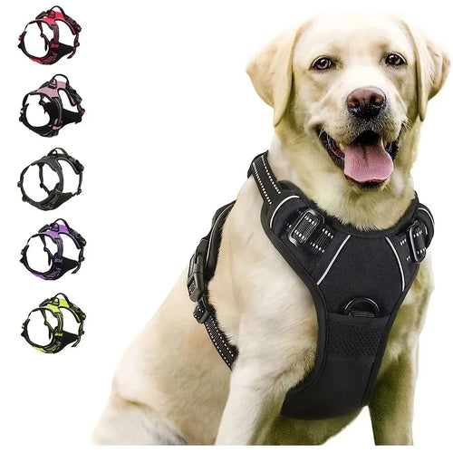 PawniMates Premium Harness Set