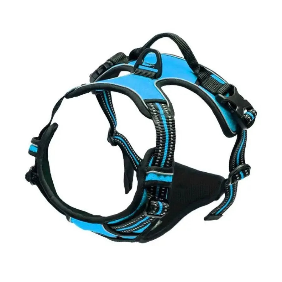 PawniMates Premium Harness Set
