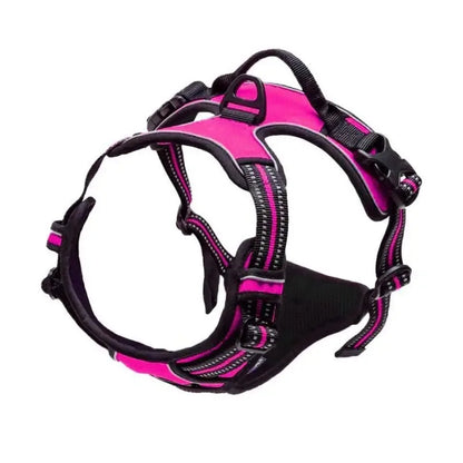 PawniMates Premium Harness Set
