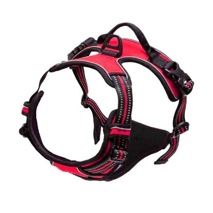 PawniMates Premium Harness Set