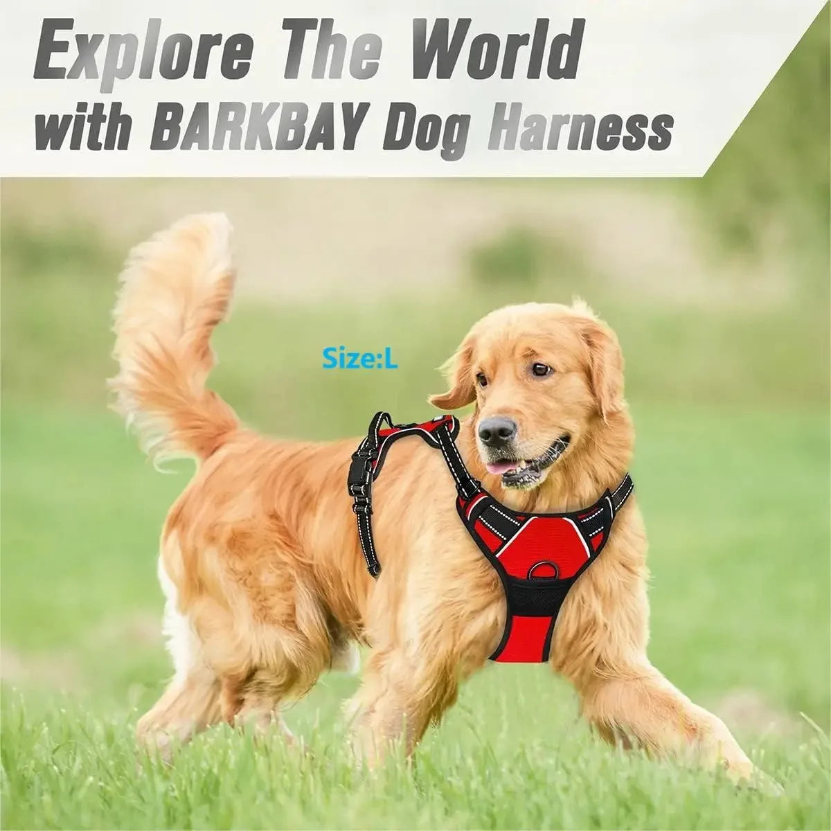 PawniMates Premium Harness Set