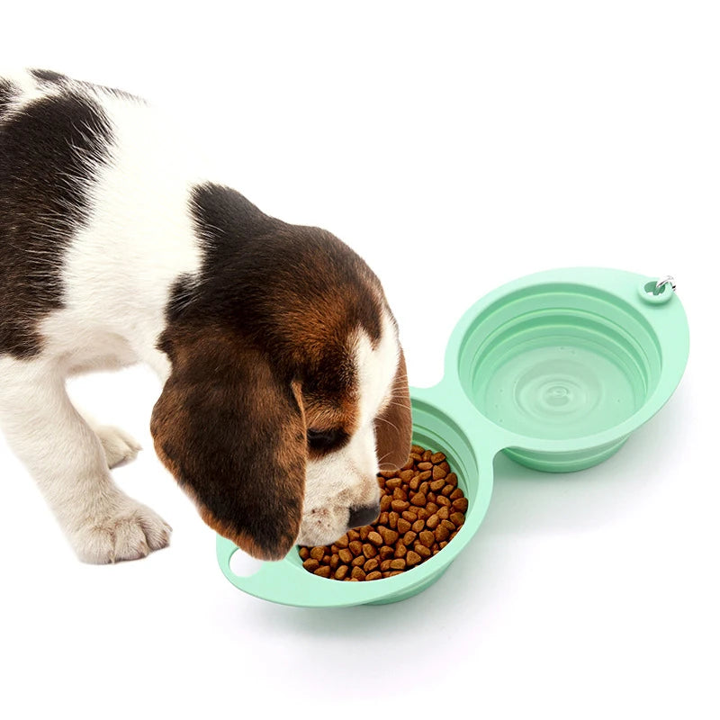 PawniMates Travel Duo Bowl