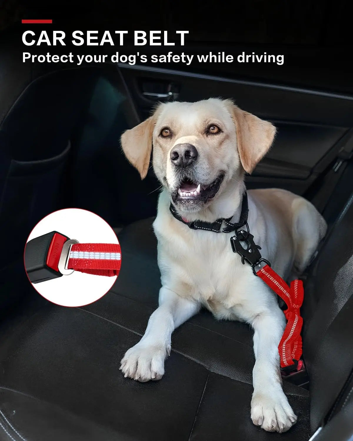 PawniMates Tactical Bungee Leash