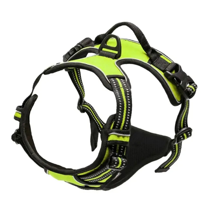 PawniMates Premium Harness Set
