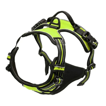 PawniMates Premium Harness Set