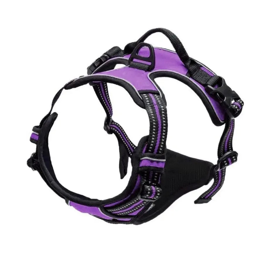 PawniMates Premium Harness Set