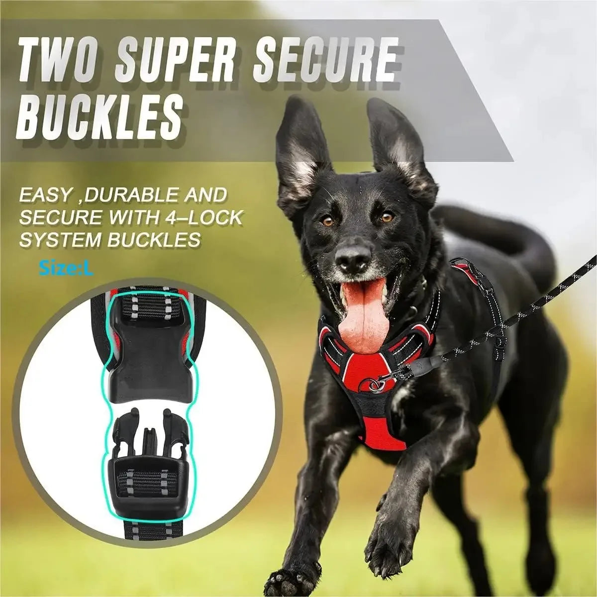 PawniMates Premium Harness Set