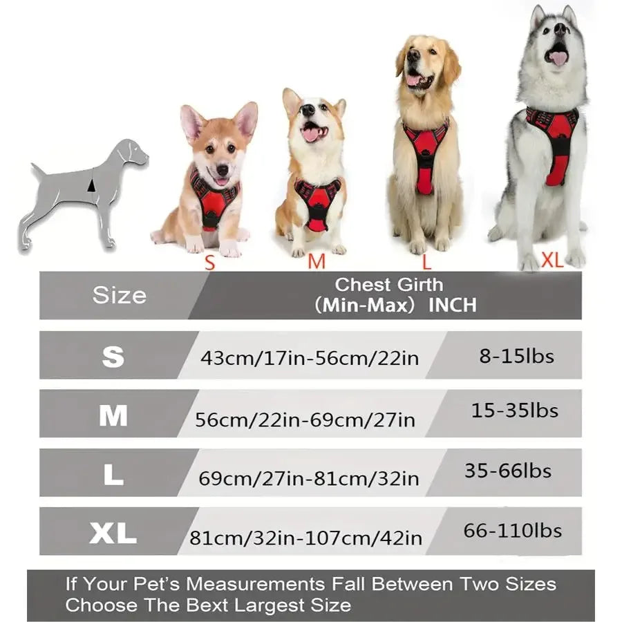 PawniMates Premium Harness Set