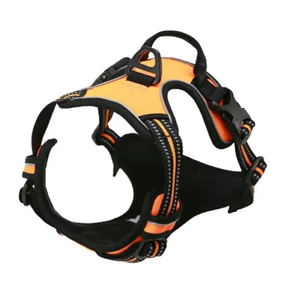PawniMates Premium Harness Set