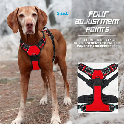 PawniMates Premium Harness Set