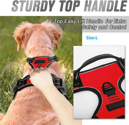 PawniMates Premium Harness Set