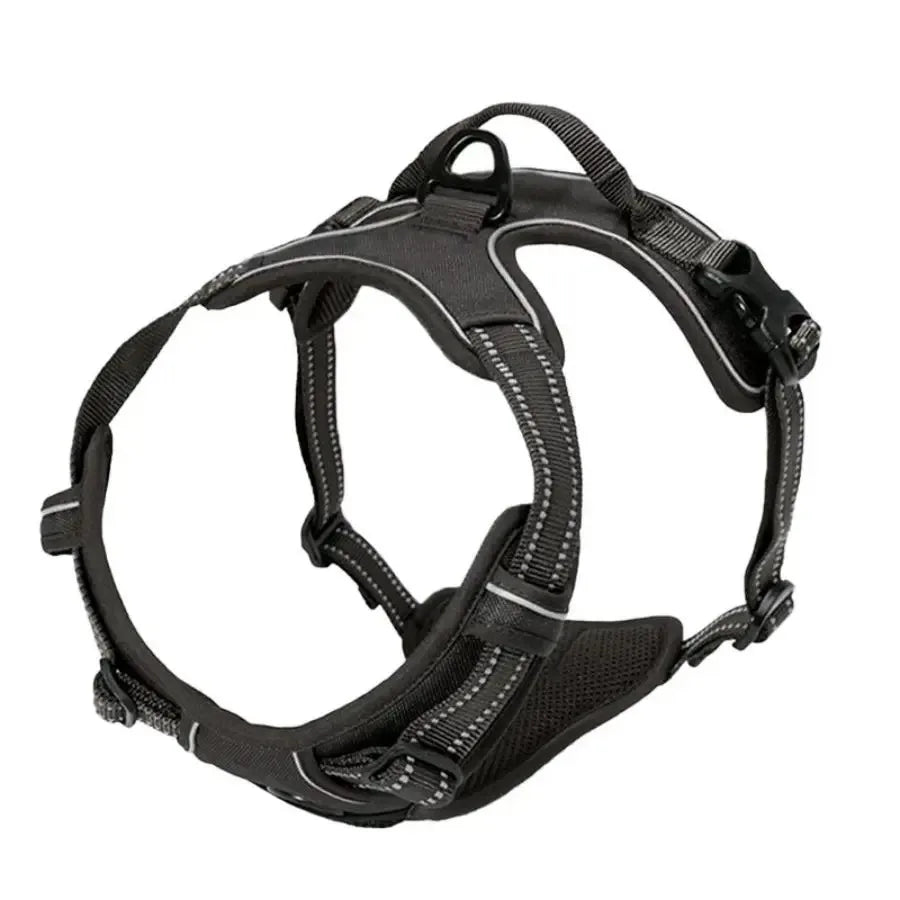 PawniMates Premium Harness Set