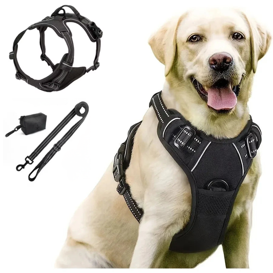 Premium Dog collar Harness Set